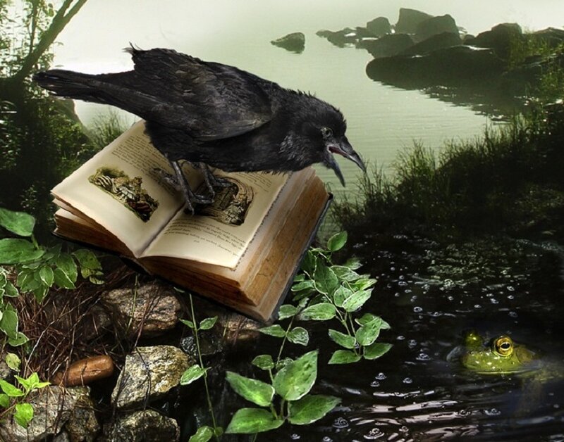 Black Crow on Book