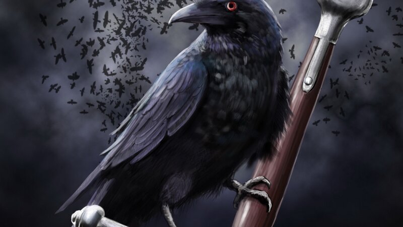 Black Crow on Staff
