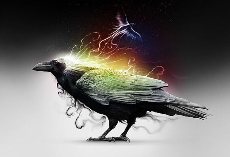 Black Crow with Rainbow Energy