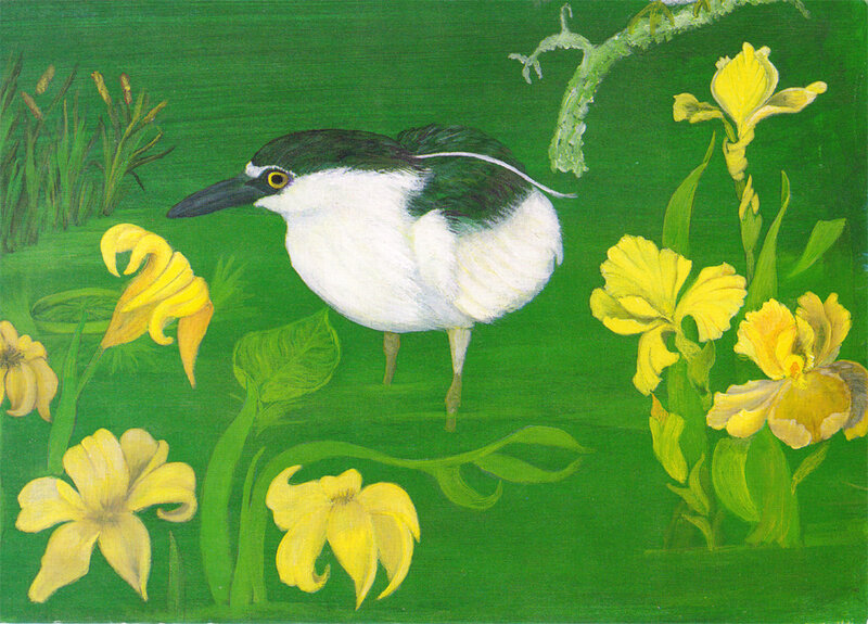 Black-crowned Night Heron — Green, Serene