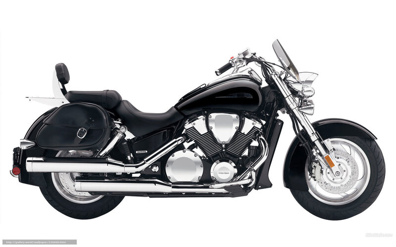 Black Cruiser Motorcycle — Neutral, Photograph, Saddlebags