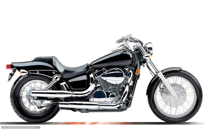 Black Cruiser Motorcycle — Neutral, Photograph, Seat, Exhaust, Spoked Wheels