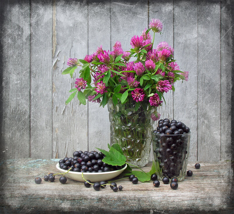 Black currants and flowers