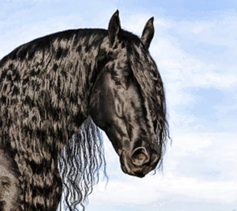 Black Dapple Horse