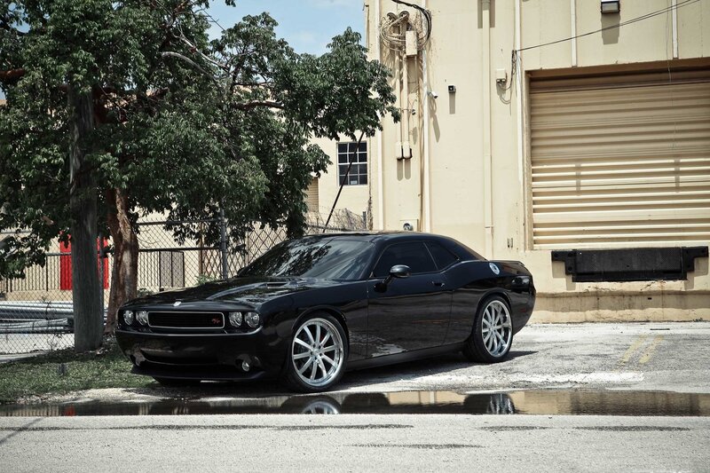 Black Dodge Challenger — Calm, Afternoon, Photograph, Tree, Building