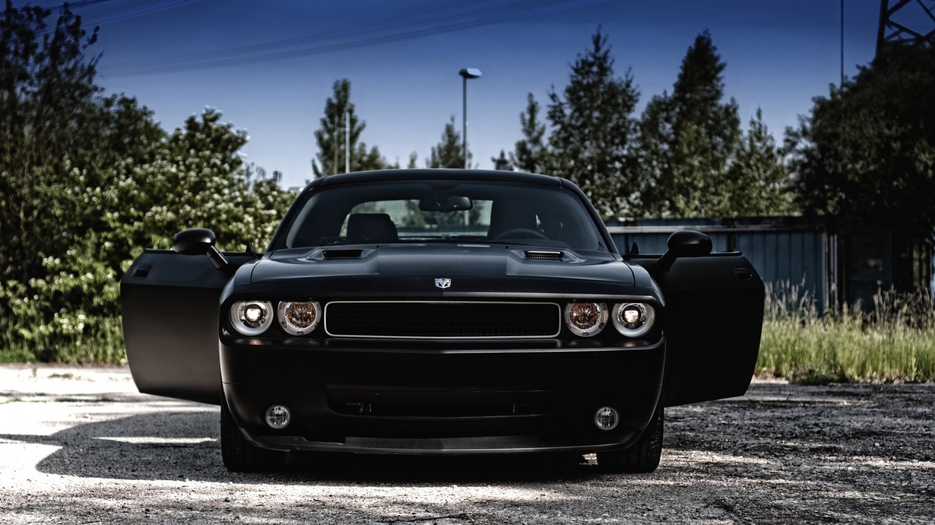 black dodge challenger car