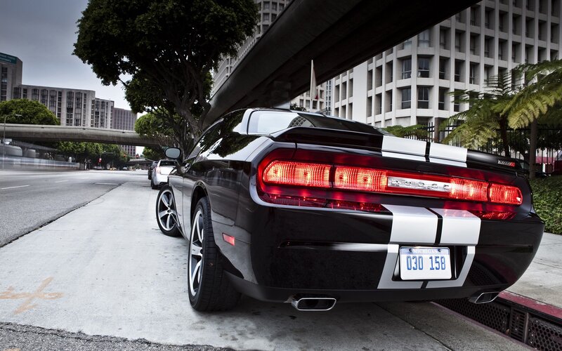 Black Dodge Challenger — Dramatic, Afternoon, Photograph, Car, Building, Tree