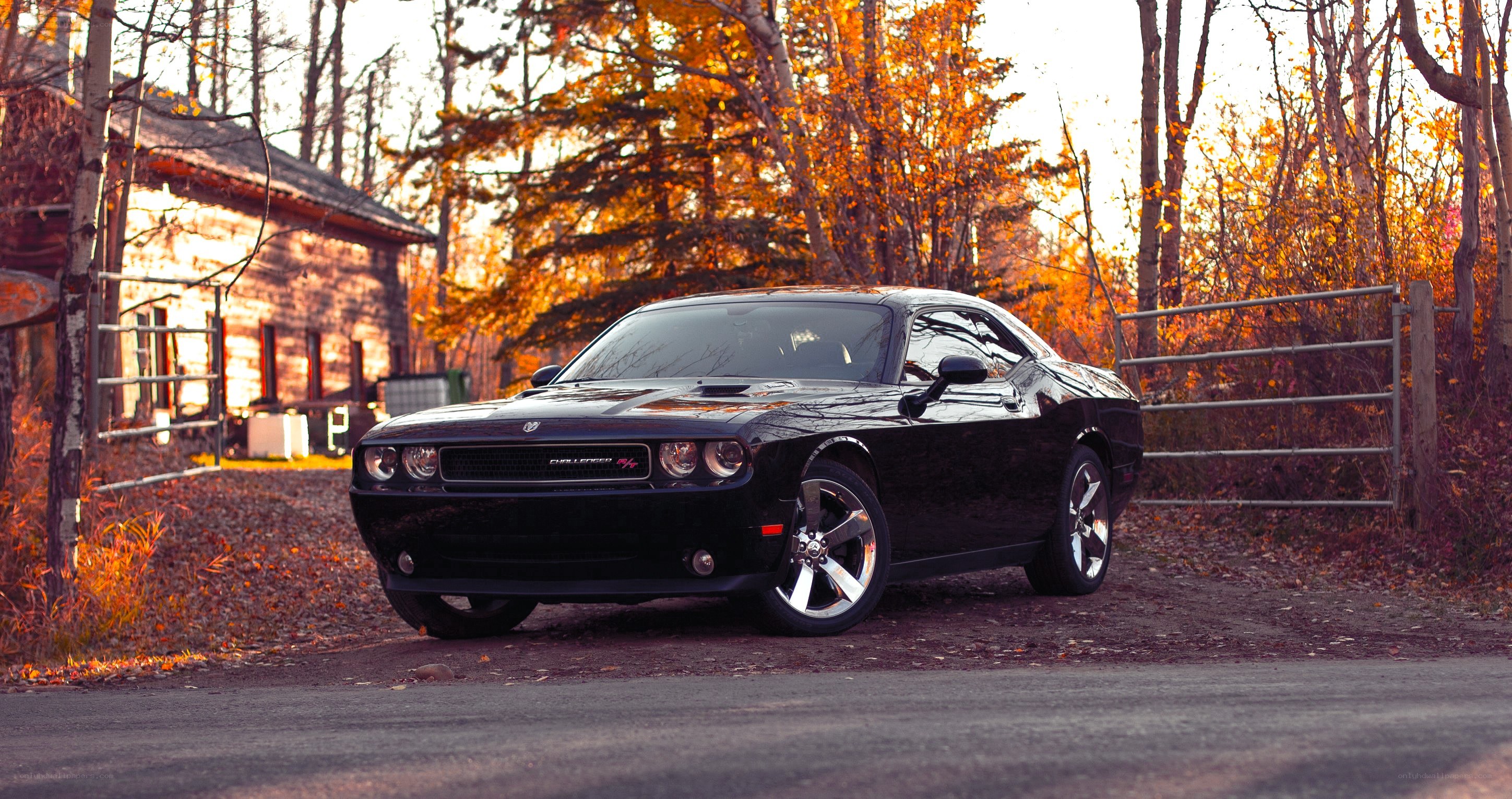 Black Dodge Challenger in autumn