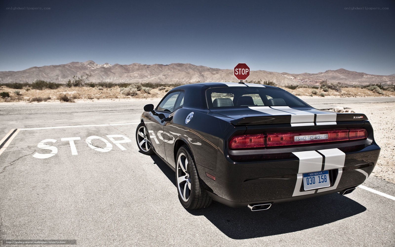 Black Dodge Challenger in desert