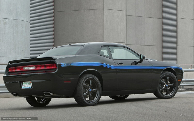 Black Dodge Challenger — Neutral, Photograph
