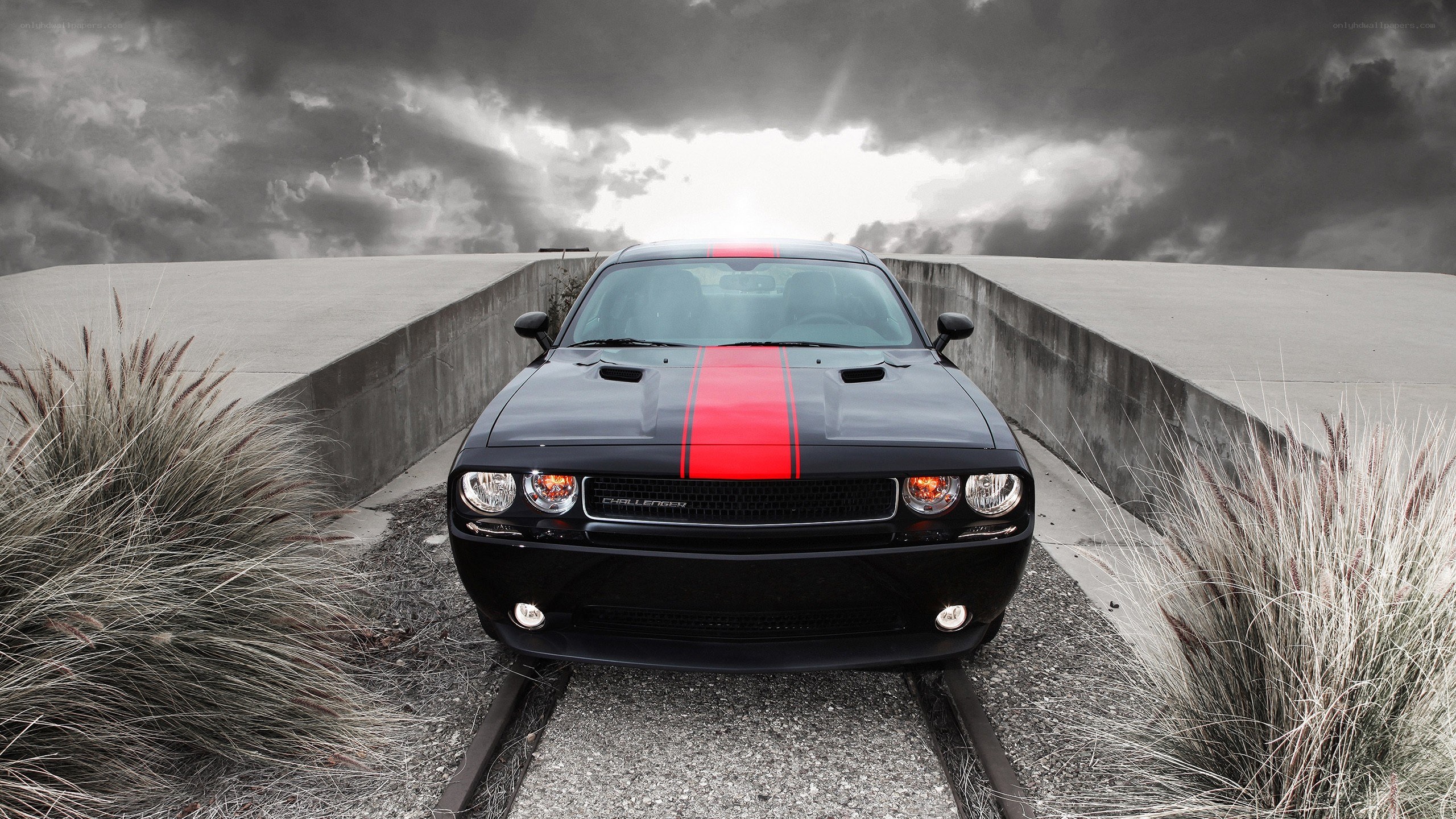 Black Dodge Challenger on a bridge
