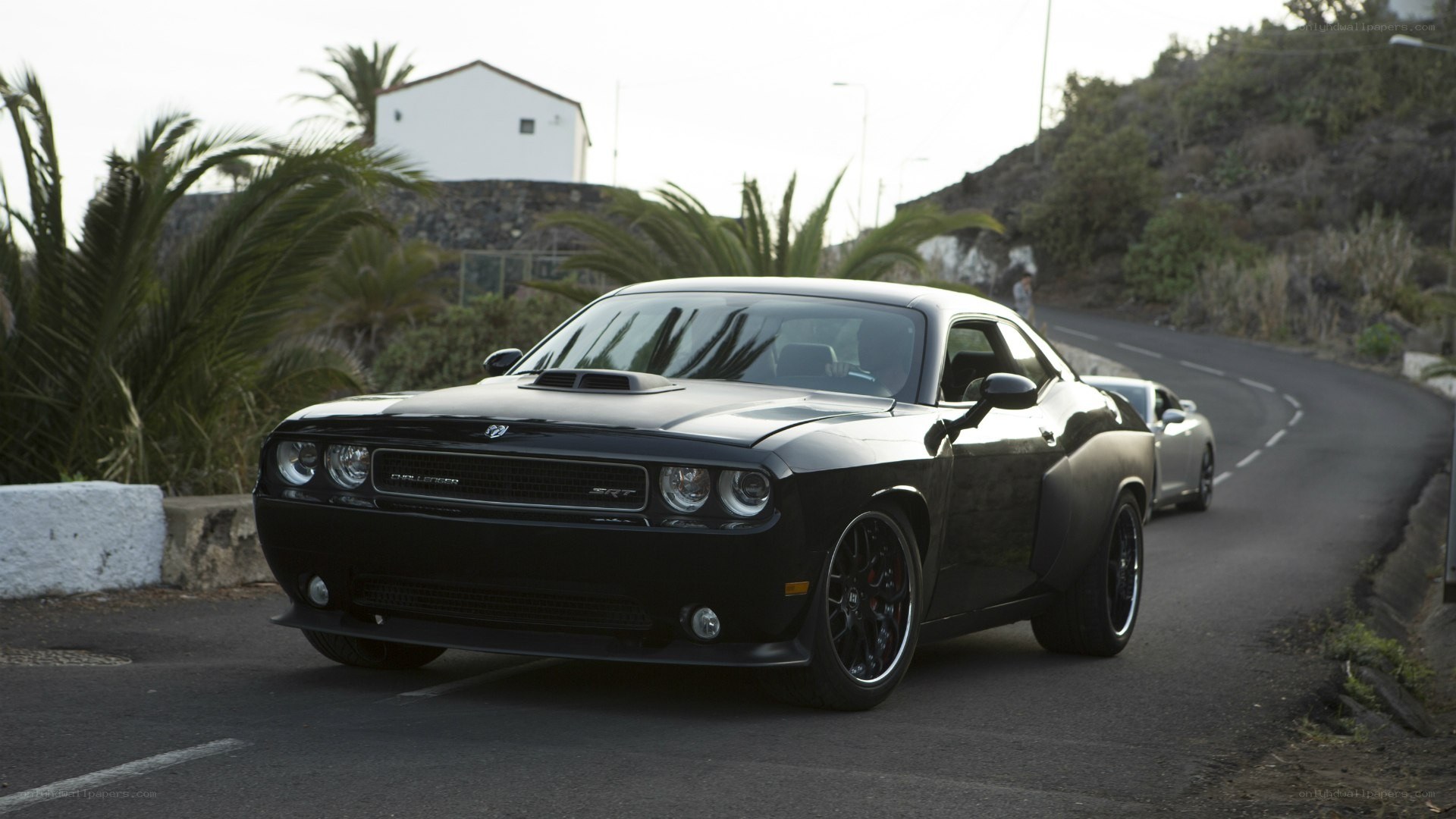 Black Dodge Challenger on a winding road