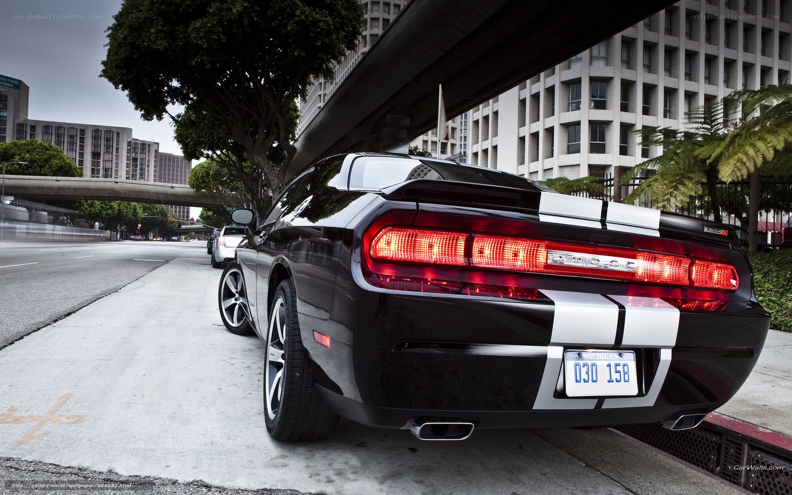 black dodge challenger on city street