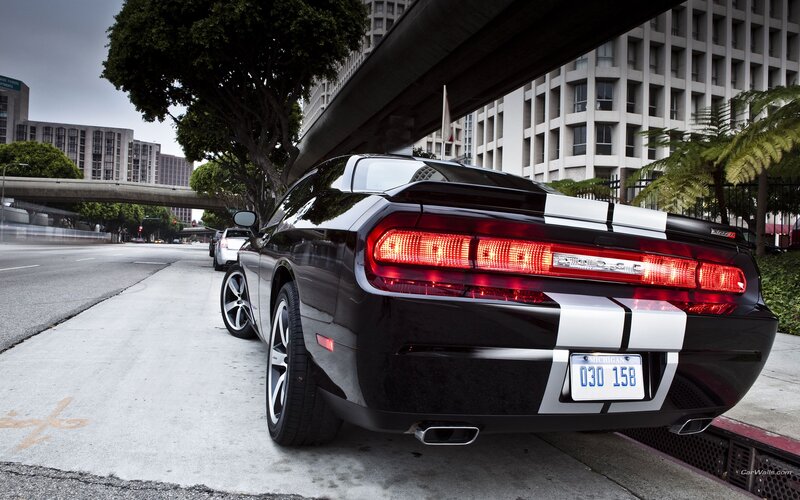 black dodge challenger on city street