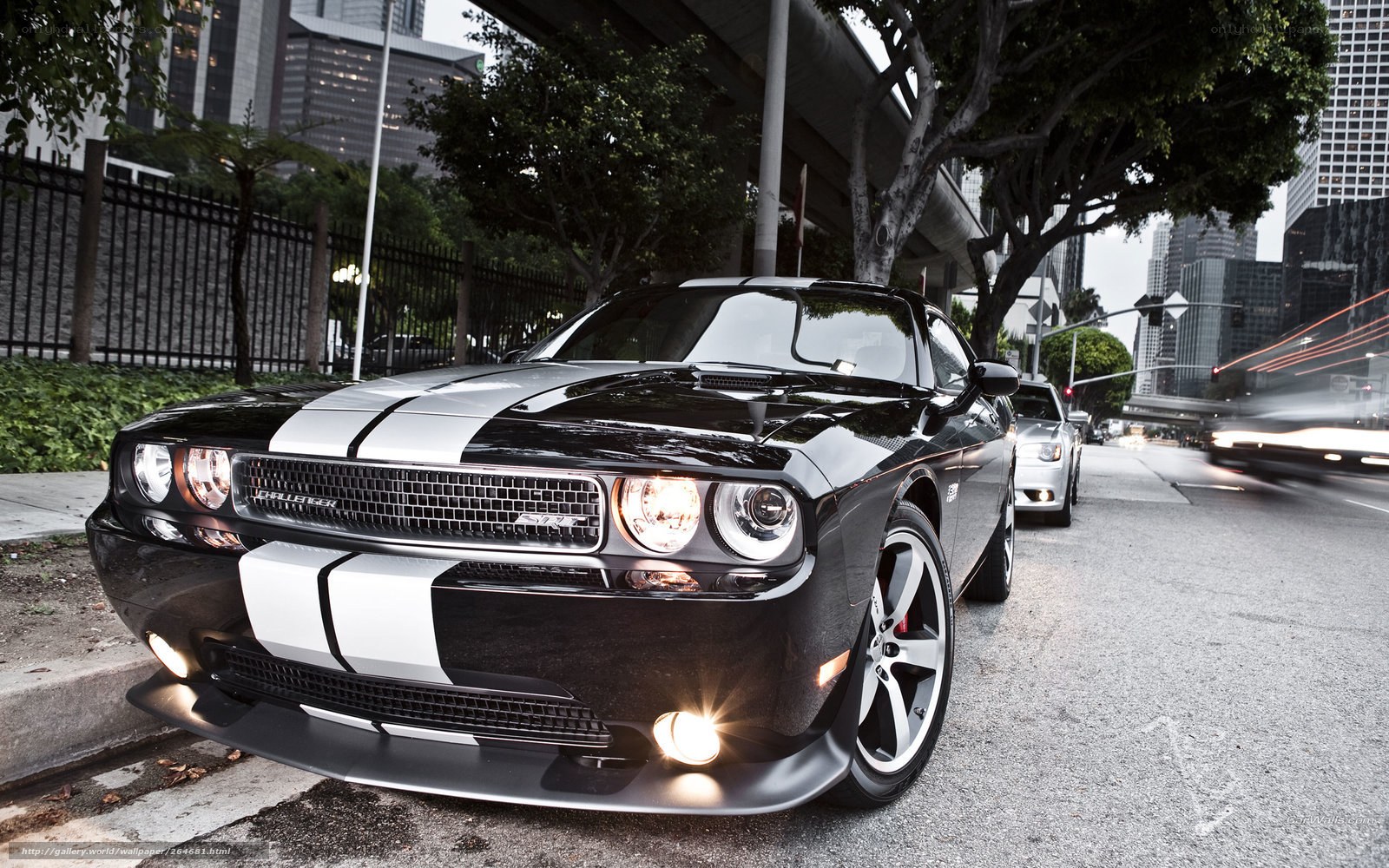 Black Dodge Challenger on city street