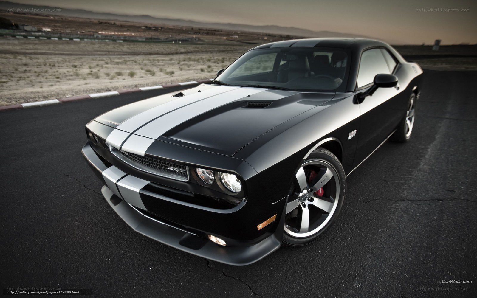 Black Dodge Challenger on track