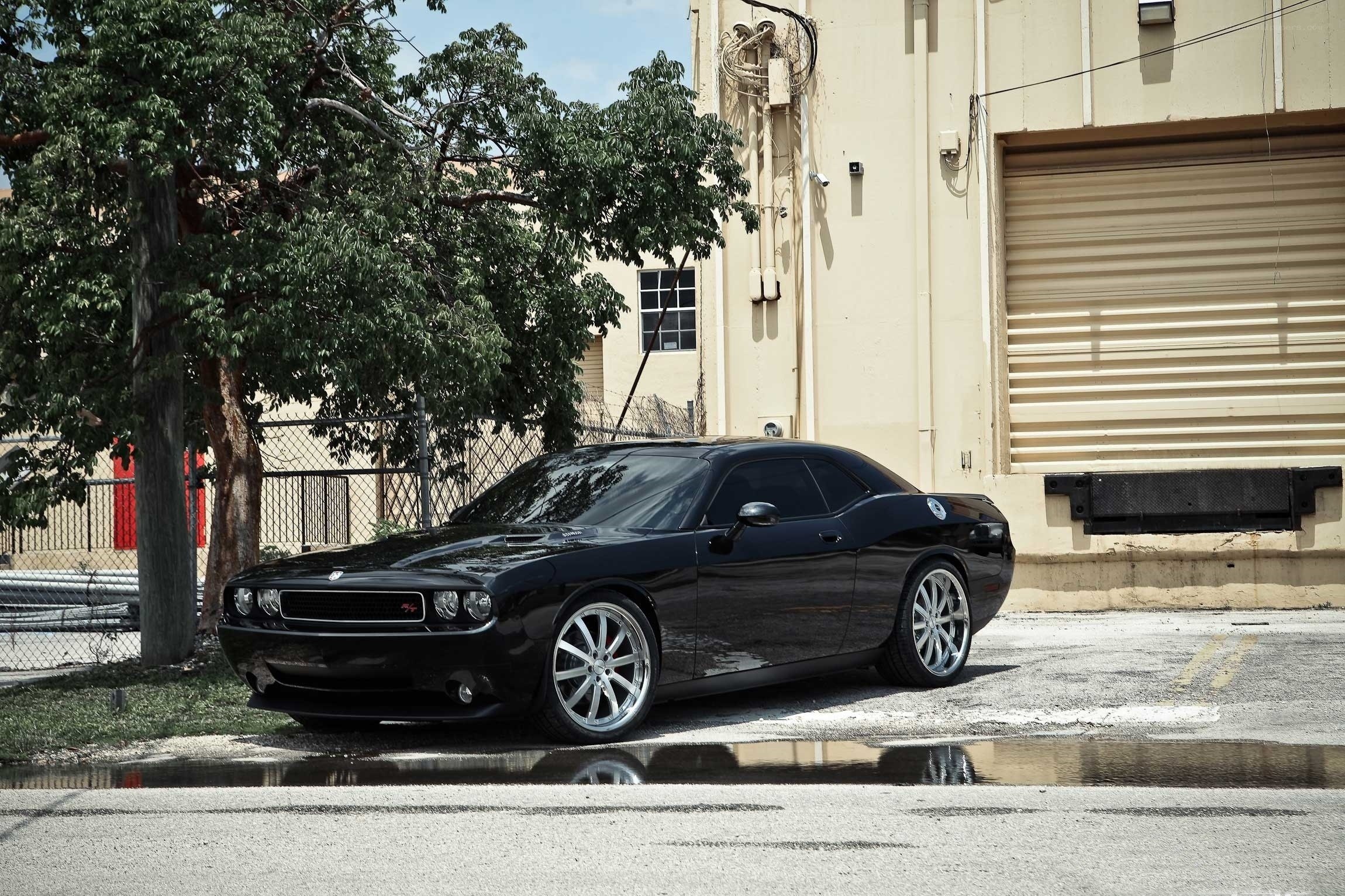 Black Dodge Challenger parked