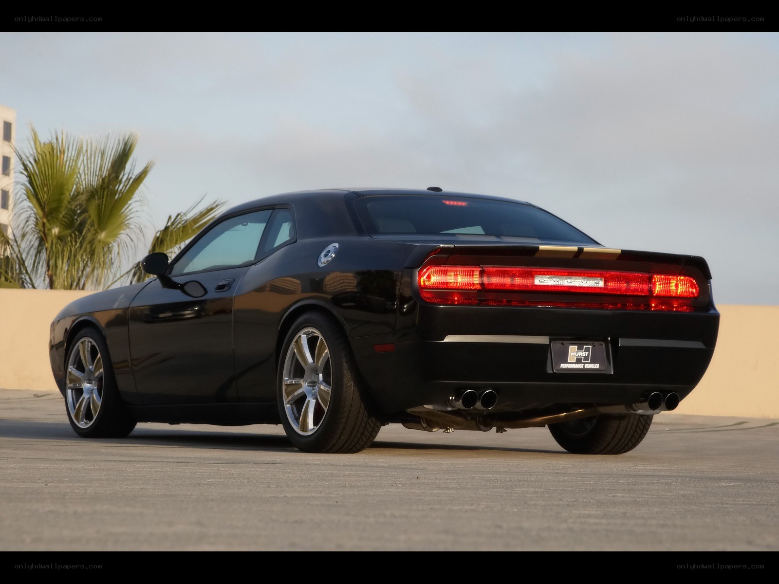 black dodge challenger rear view