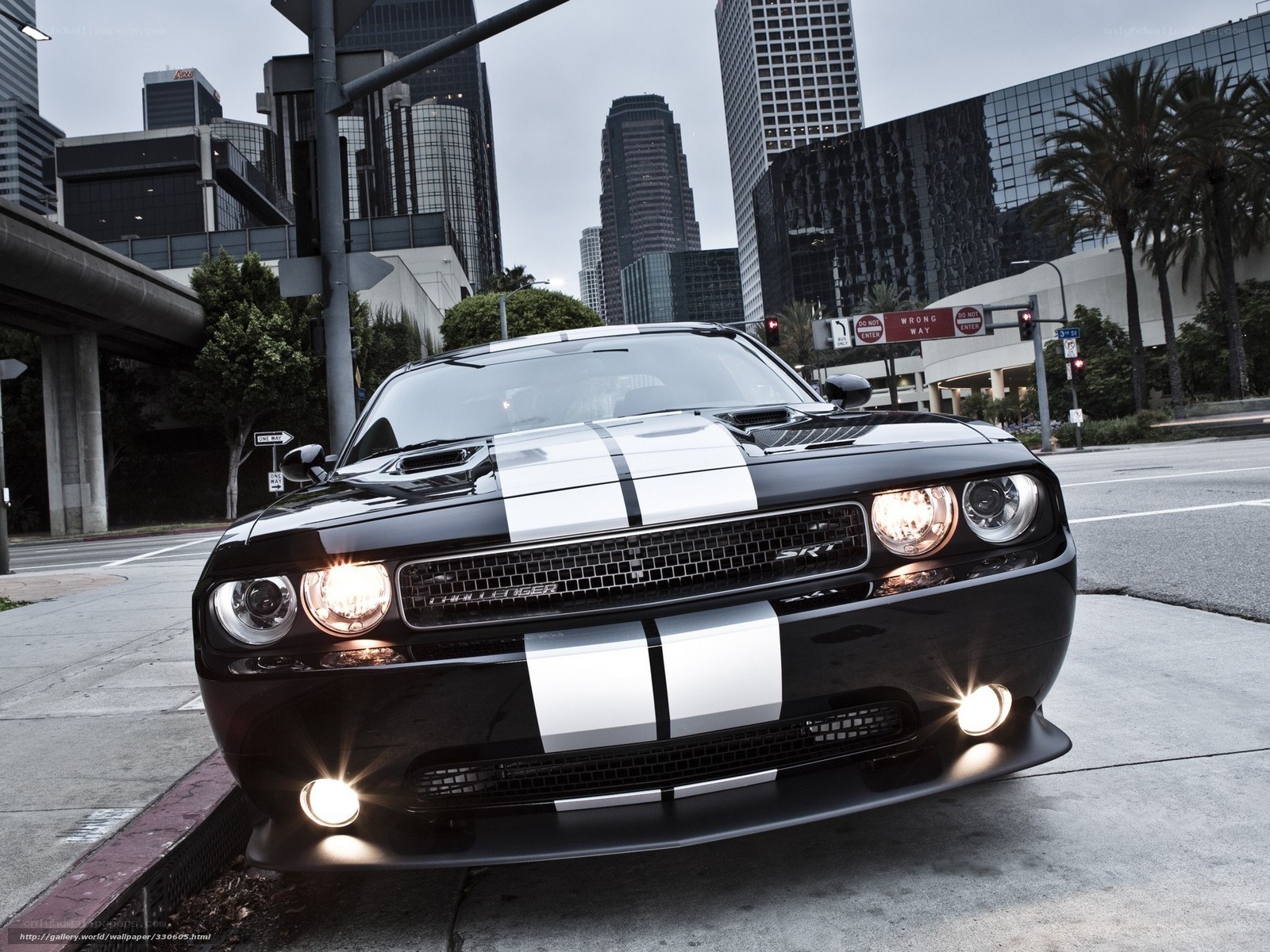 Black Dodge Challenger SRT in city