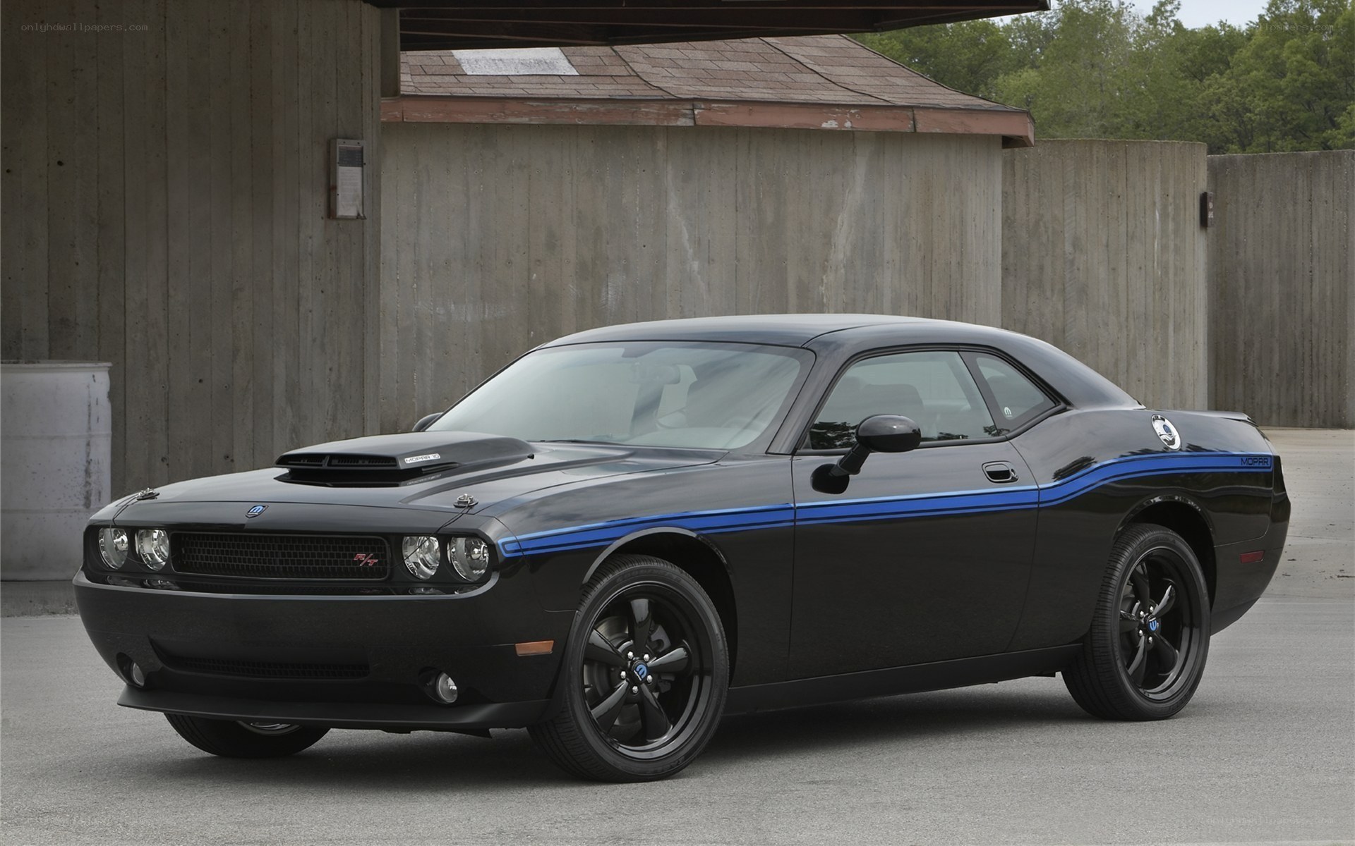 black dodge challenger with blue stripes