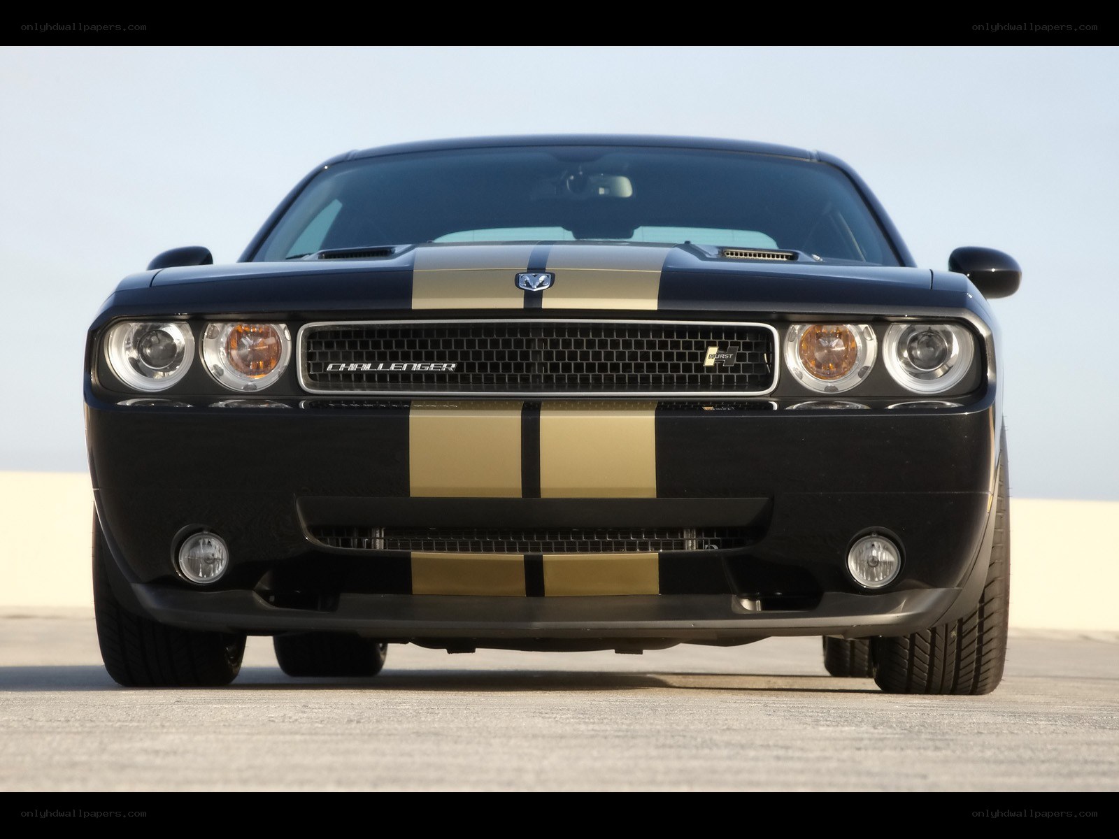 Black Dodge Challenger with gold stripes
