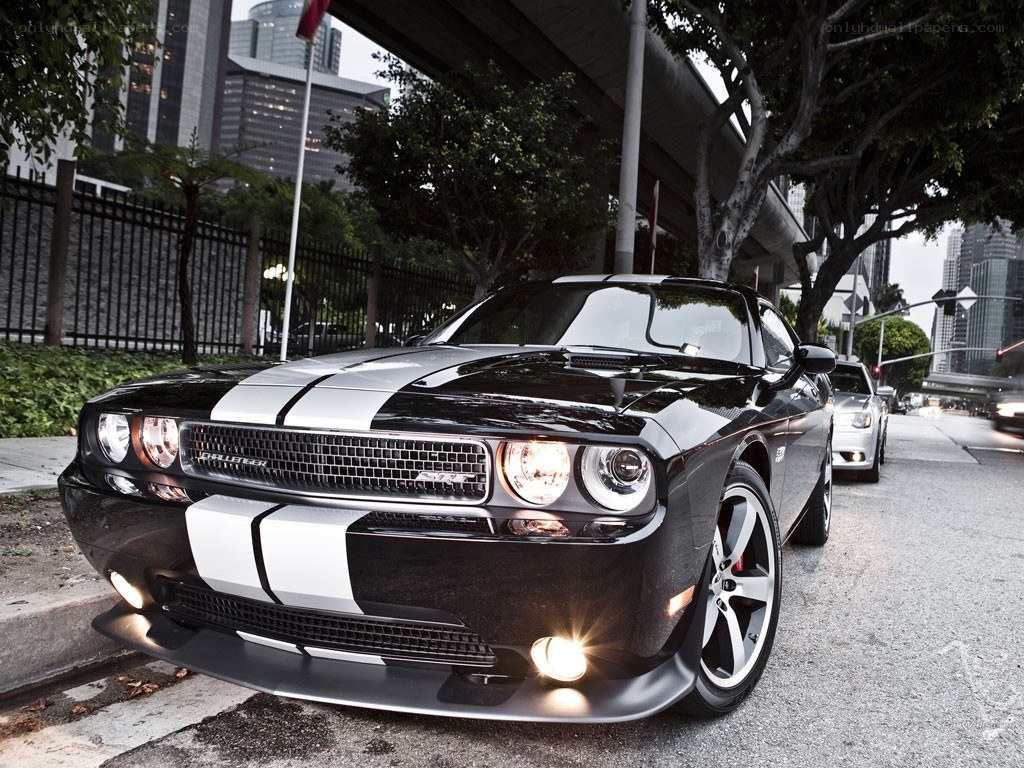 Black Dodge Challenger with stripes