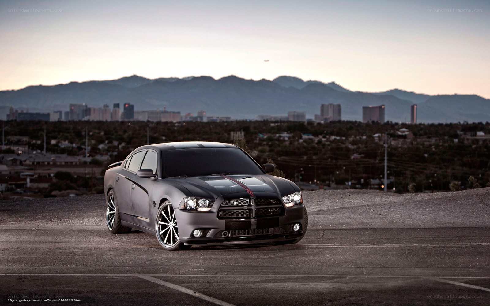 Black Dodge Charger on a hill