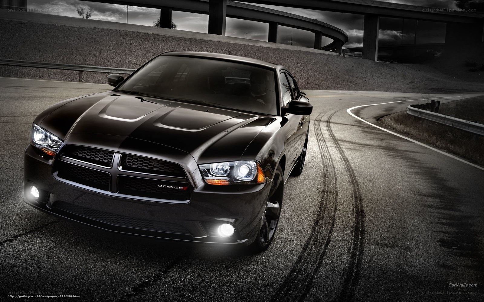 Black Dodge Charger on a road