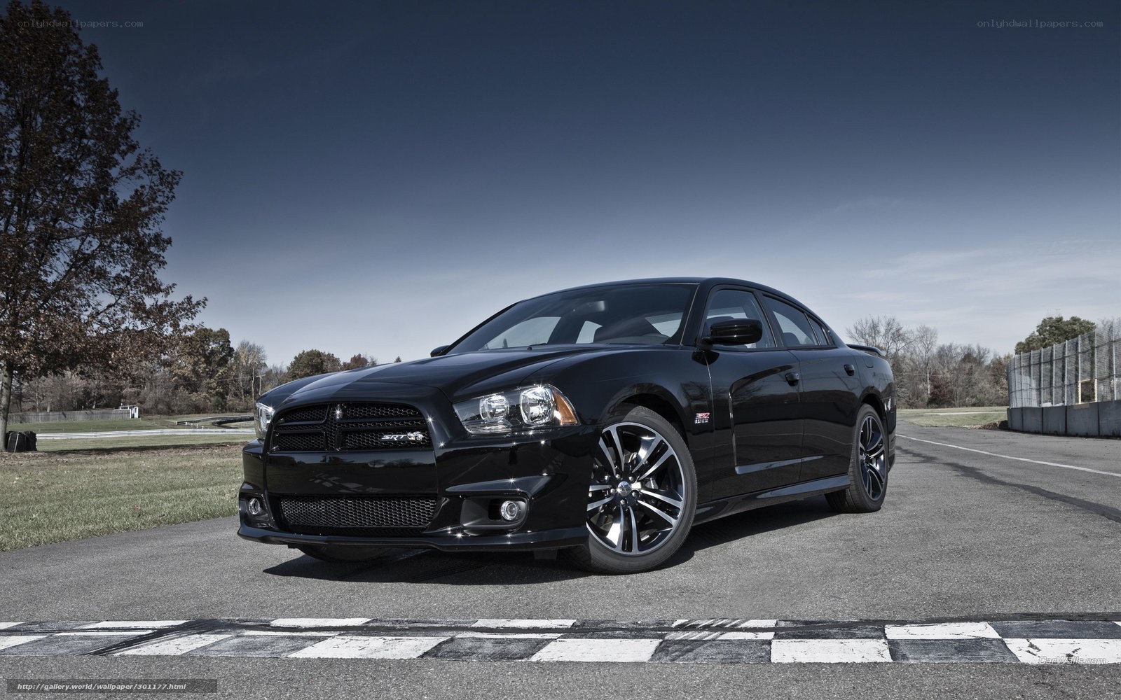 Black Dodge Charger on racetrack