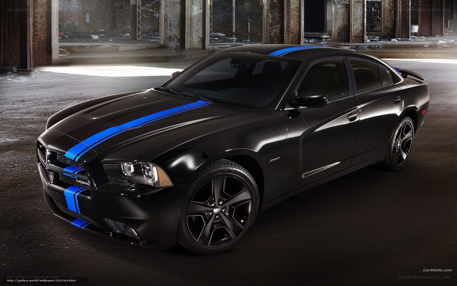 black dodge charger with blue stripes