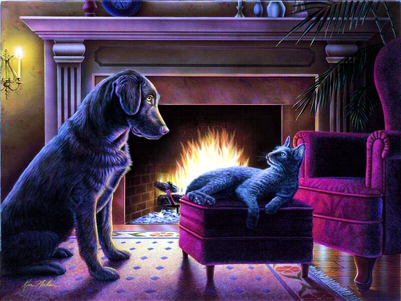 Black Dog and Cat — Purple