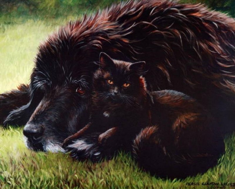 Black Dog and Cat