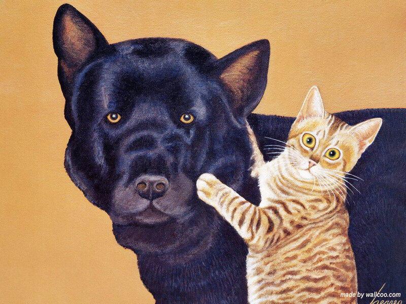 Black Dog and Tabby Cat
