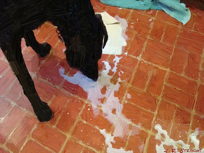 Black Dog Drinking Water — Orange