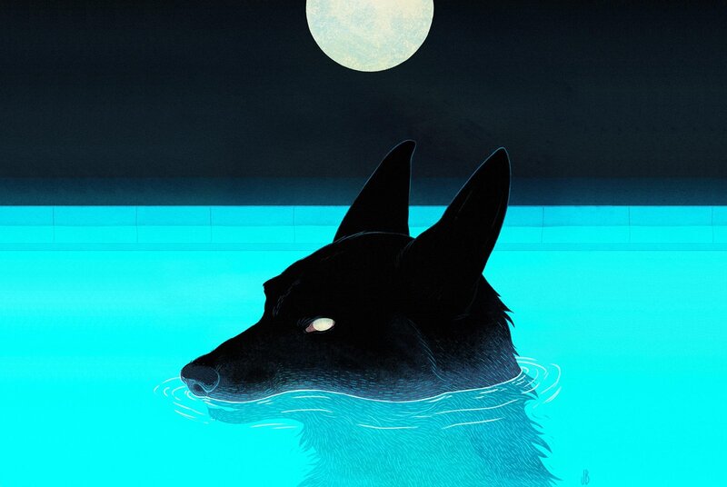 Black Dog in Water — Blue, Serene