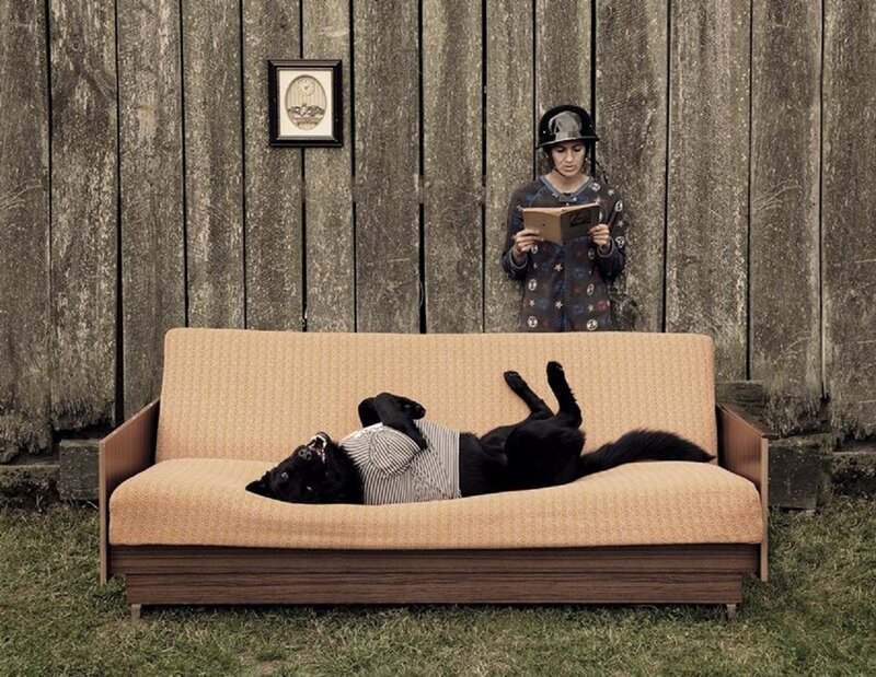 Black Dog on Couch — Brown