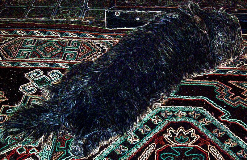 Black Dog on Rug — Calm