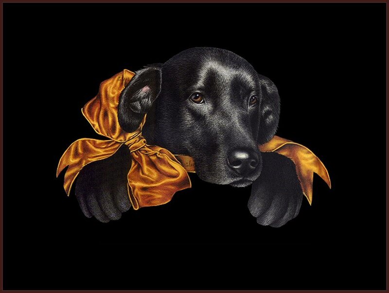 black dog with golden bow