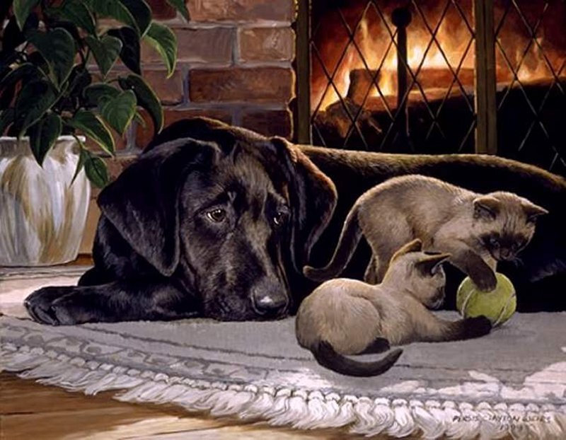 Black Dog with Kittens