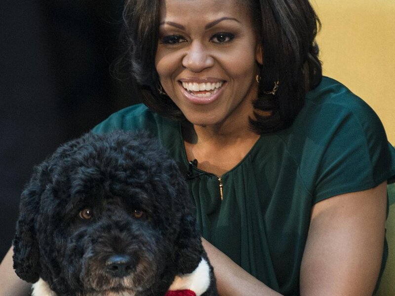 Black Dog with Woman