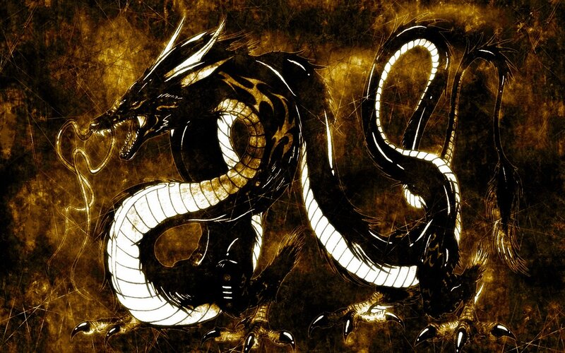 Black Dragon Coiled — Dramatic