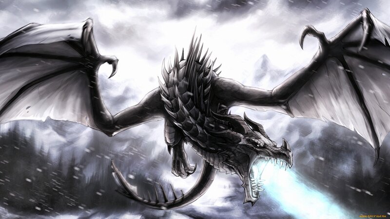 Black Dragon Flying — Gray