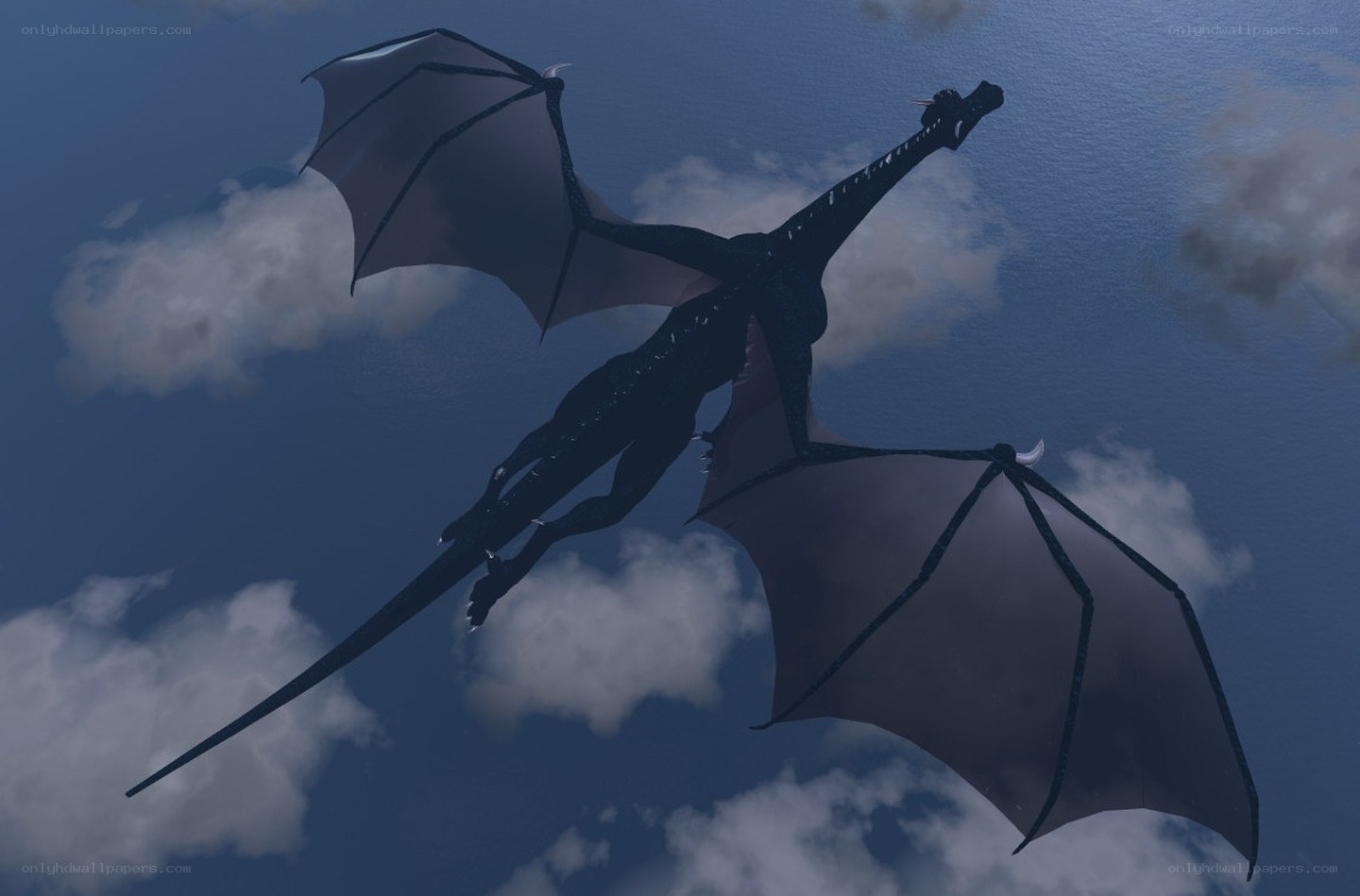 black dragon flying in sky
