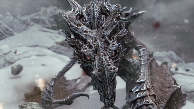 Black Dragon Head — Gray