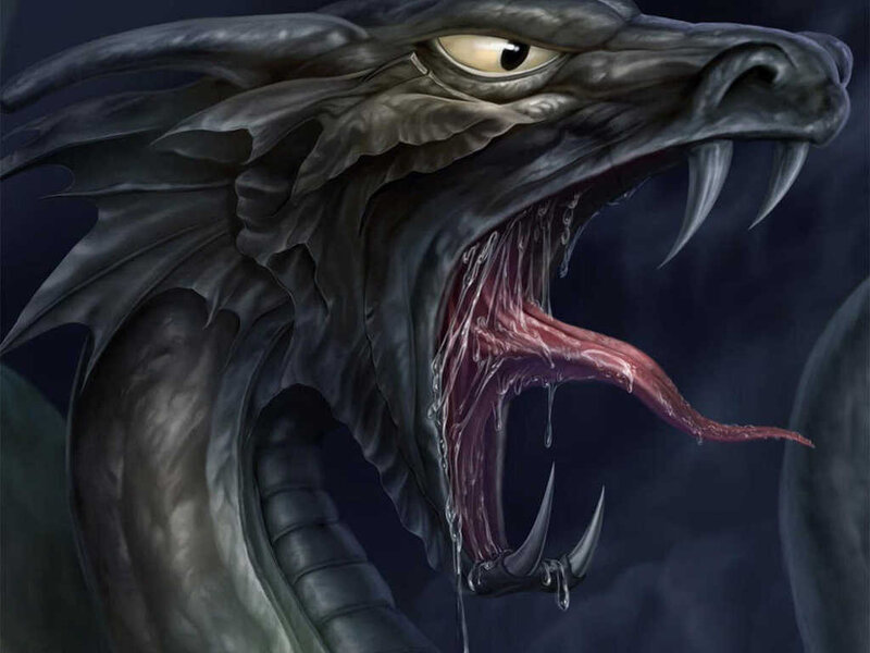 Black Dragon Head