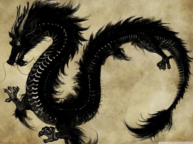 Black Dragon Illustration — Dramatic, Feathers