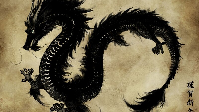 Black Dragon Illustration