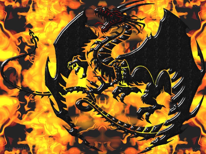 black dragon in flames