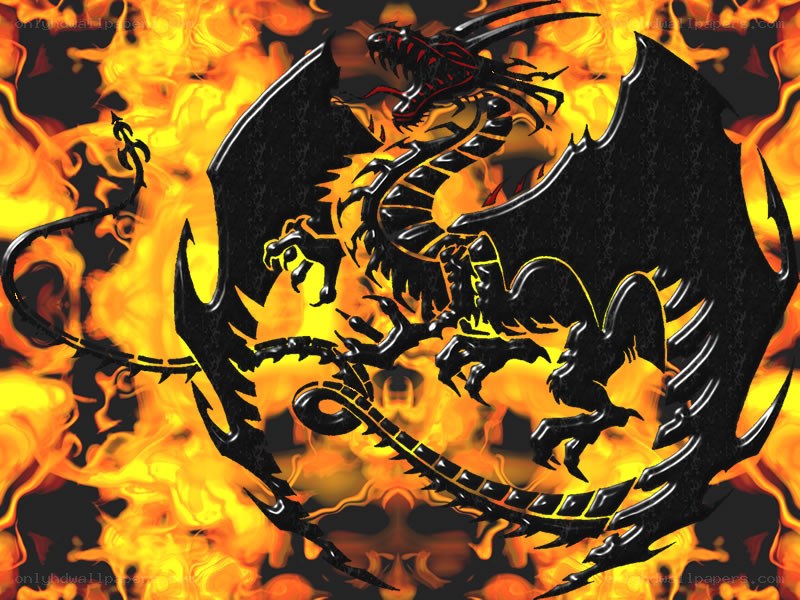Black dragon in flames