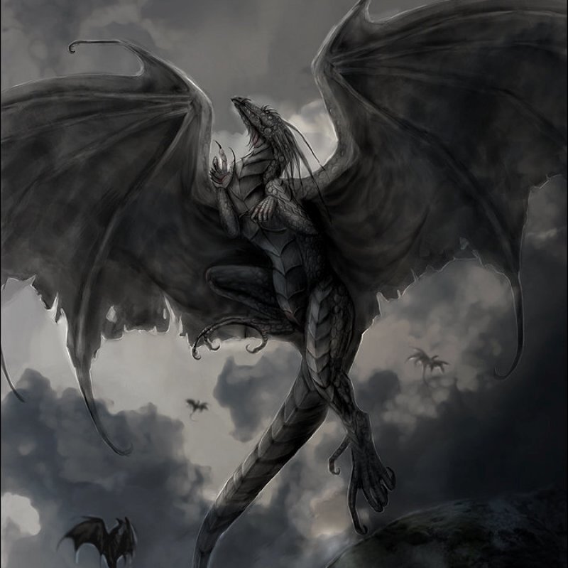 Black Dragon in Flight — Gray